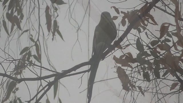 Осенний день на озере Кинерет. смотреть онлайн