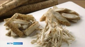 Где найти лечебные травы