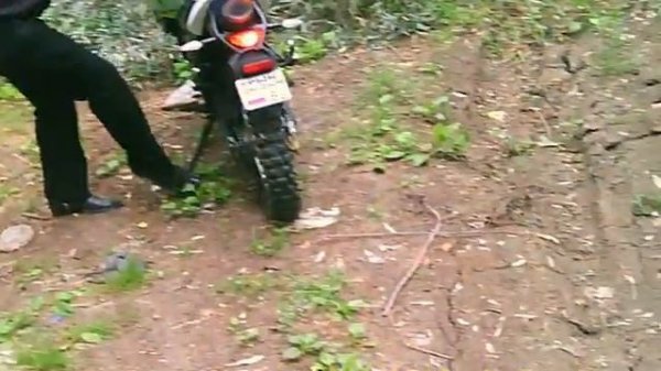 Stels Trigger X / Stels Trigger SM -- По Неизвестной Просеке