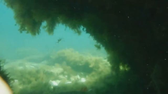 Подводная съемка. Крым, Большой Атлеш 2017 смотреть онлайн