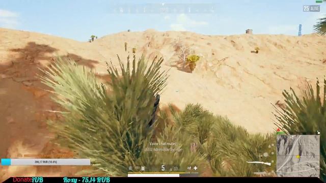 ТОП 1/17 КИЛЛОВ! смотреть онлайн