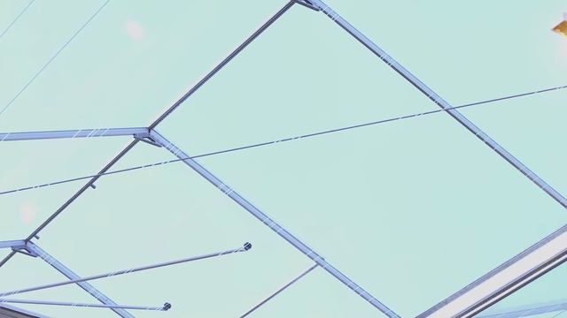 The Grower Files: Marius Mans van Mans Flowers over klimaatmanagement смотреть онлайн