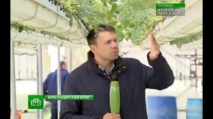 Итоговая программа 26 апреля 2015