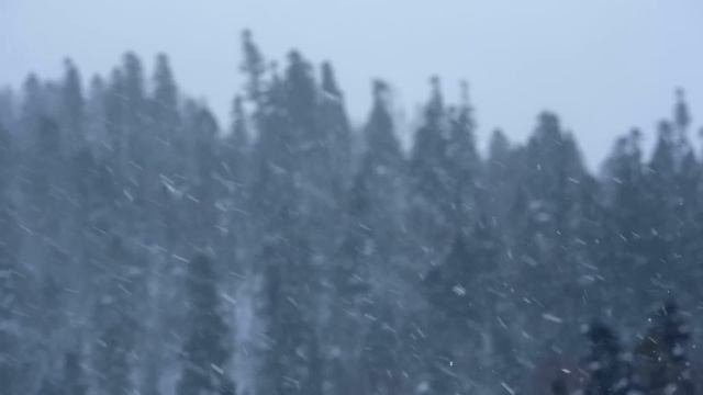 Загадка на 35 млн долларов: дело семьи Шерман смотреть онлайн