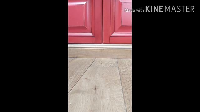 Мои подарки на день рождения!/что мне подарили/не знаю что попросить/подарили огромное авокадо? смотреть онлайн