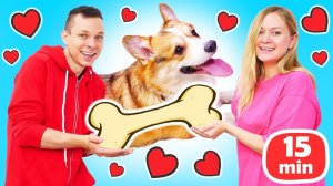 Собака: игры, прогулки и дрессировка! Обучающие видео для детей про уход за домашним питомцем