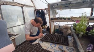 сажаем сеем капусту в кассеты