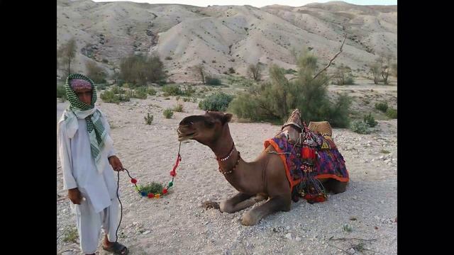 Balochi Song Jee Baa Balochaan | Singer Parvez Baloch смотреть онлайн