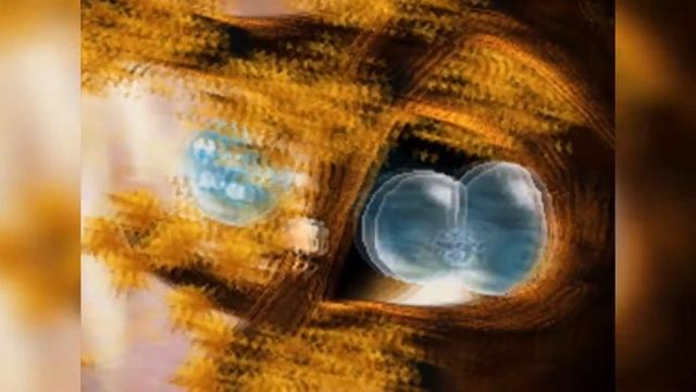 Soul Bubbles (Nintendo DS) | D-pad Danny Reviews смотреть онлайн