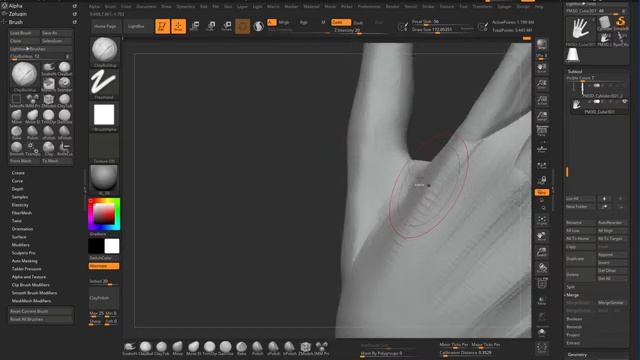 Cg stream смотреть онлайн