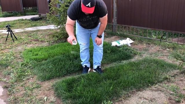 Удобрение газона осенью: как правильно внести и какие? Смотри тут! смотреть онлайн