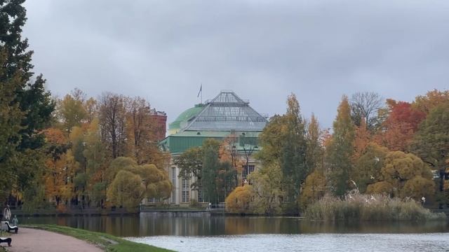 vlog | питерские будни | о брекетах смотреть онлайн