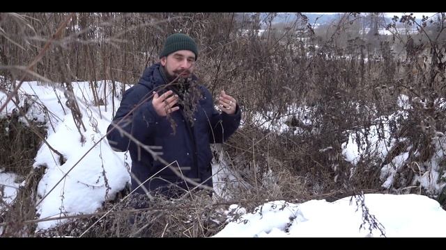 Памятник над братской могилой советских воинов в селе Иславское смотреть онлайн