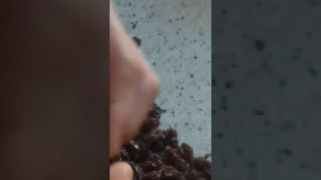 Как перебрать изюм быстро