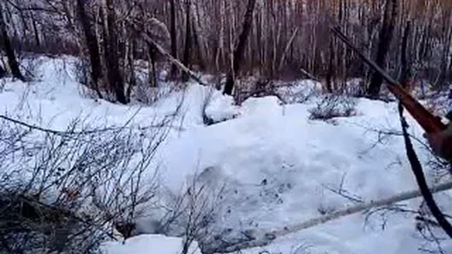 Зимняя спячка медведей!!!) смотреть онлайн