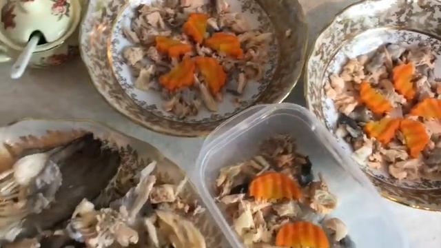 Учебник по Таланту и Творчеству