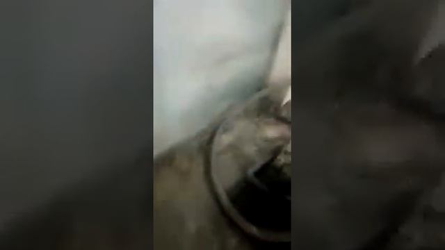 Проверка двигателя Isuzu Elf 4HG1 смотреть онлайн