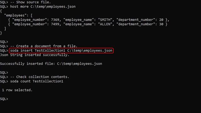 Simple Oracle Document Access (SODA) for SQLcl смотреть онлайн