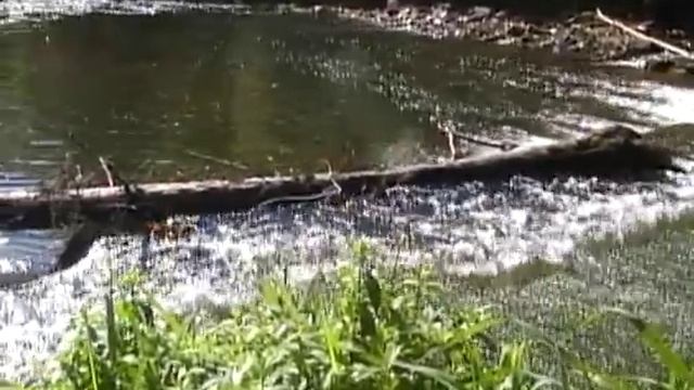 CD Sat Nam Songs from the Heart. смотреть онлайн