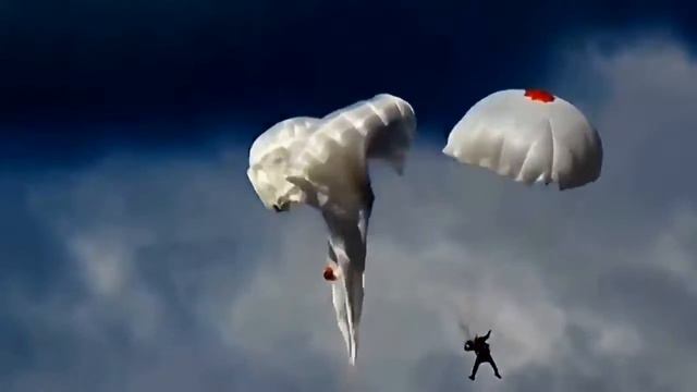 На всё было всего лишь 30 секунд Не растерялся и спас обоих смотреть онлайн