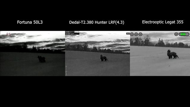 Столкнули лбами прицелы от Electrooptic, Fortuna и Dedal. Какой лучше? Видео реальной охоты 2021 смотреть онлайн