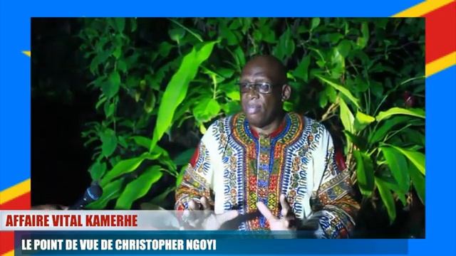 AFFAIRE VITAL KAMERHE : LE POINT DE VUE DE CHRISTOPHER NGOYI смотреть онлайн