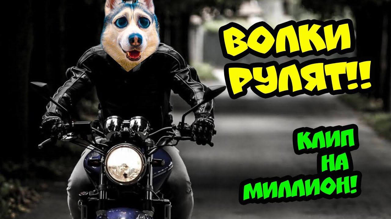 Хаски Бандит - ВОЛКИ РУЛЯТ! (Official music video) КЛИП НА МИЛЛИОН ПОДПИСЧИКОВ!! смотреть онлайн
