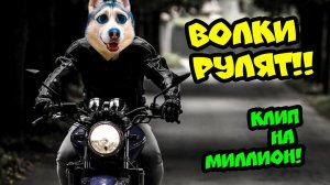 Хаски Бандит - ВОЛКИ РУЛЯТ! (Official music video) КЛИП НА МИЛЛИОН ПОДПИСЧИКОВ!!