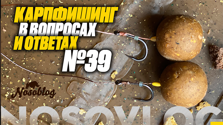 Карпфишинг в вопросах и ответах #39, Колесников Артем смотреть онлайн