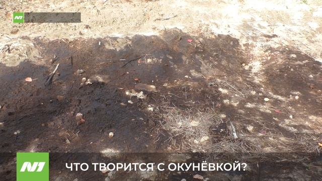 ЧТО ТВОРИТСЯ С ОКУНЁВКОЙ? смотреть онлайн