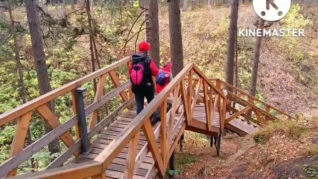 Прогулка по Гремячей гриве. смотреть онлайн