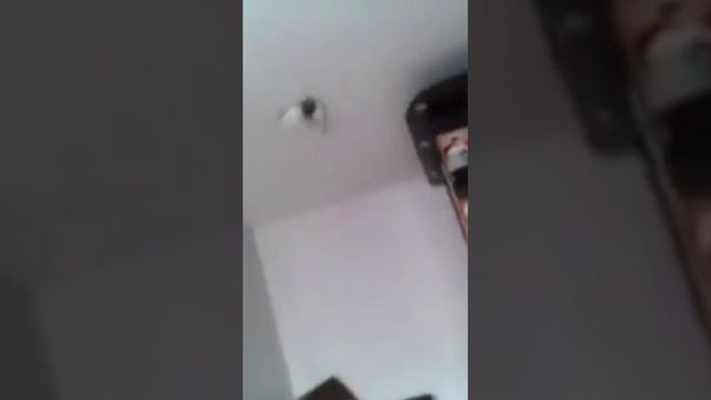 мне в квартиру залетела птица, отойди от меня, я обасрался смотреть онлайн