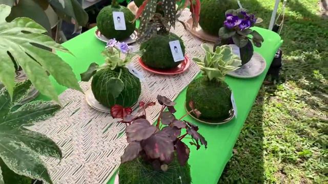 Fairchild’s Tropical Botanic Gardens Orchids In Bloom 2021 pt. 2 of 3 смотреть онлайн