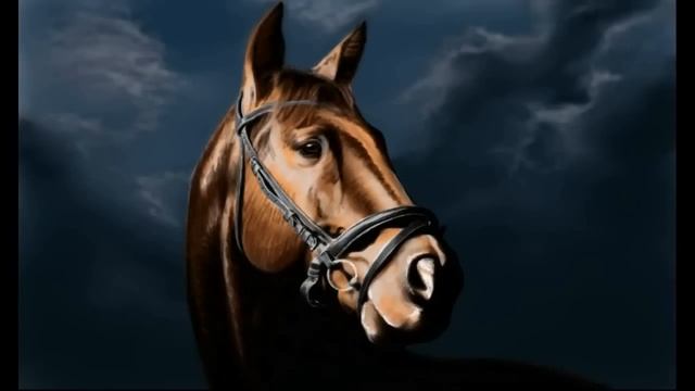 Рисуем портрет лошади / Draw a portrait of a horse смотреть онлайн