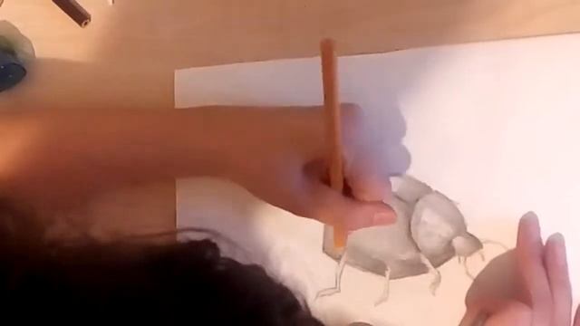 3D жук смотреть онлайн