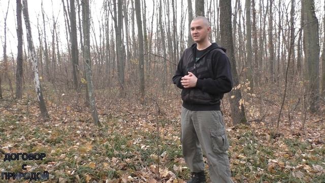 №1 Яблоня сорт "Рихард" сажаем ДЕРЕВО в ЛЕСУ. смотреть онлайн