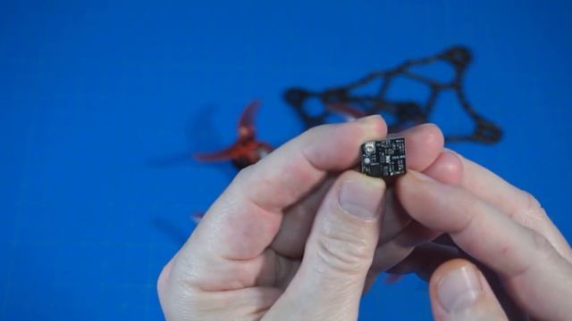 What a Beautiful Winter Day!! // DeadBat Frame Build Up // Story Time смотреть онлайн