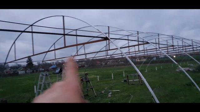 Арочная теплица. Огурец Герман. Сезон 2021. смотреть онлайн