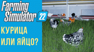 ? Всё о курицах в Farming Simulator 22