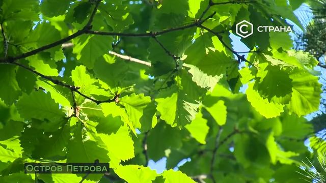 Лазовский государственный природный заповедник Остров Петрова Природа Телеканал Страна смотреть онлайн