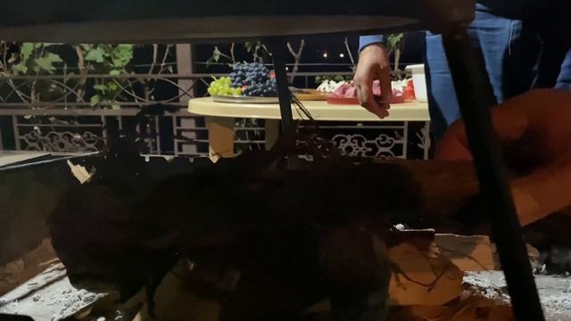 Художественная Гимнастика