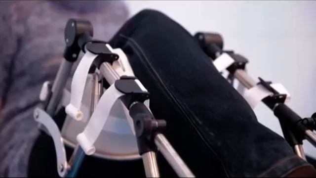 Полезная программа от 19.02.19 смотреть онлайн