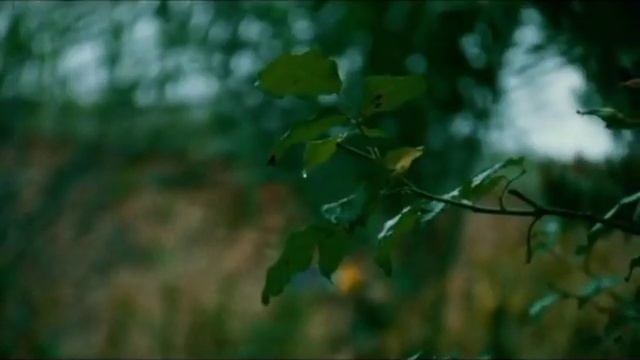 Poema Un rancho y un lucero de Alfredo Espino declamación. смотреть онлайн