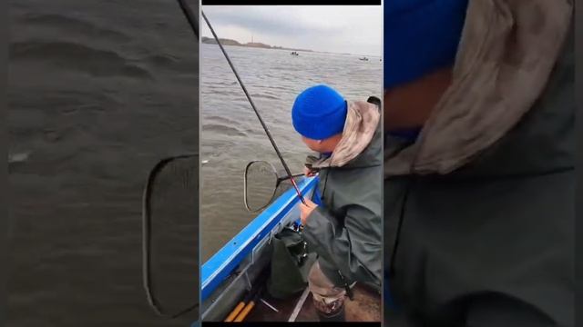 Ловля судака на Верхнем Дону #джиг #ловлянаджиг #ловлясудака #отдыхнаводе #спиннинг смотреть онлайн