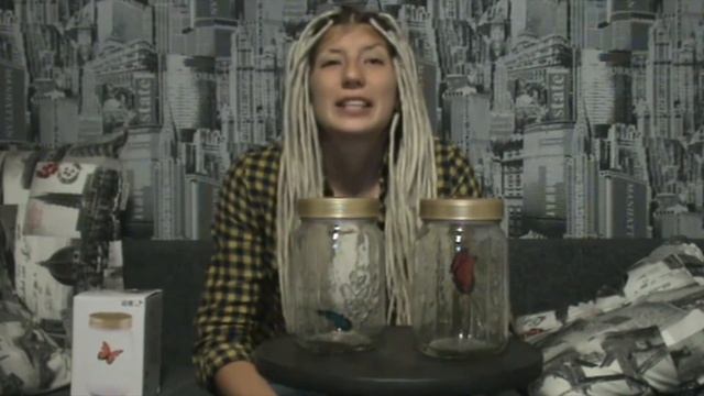 Бабочка в банке смотреть онлайн