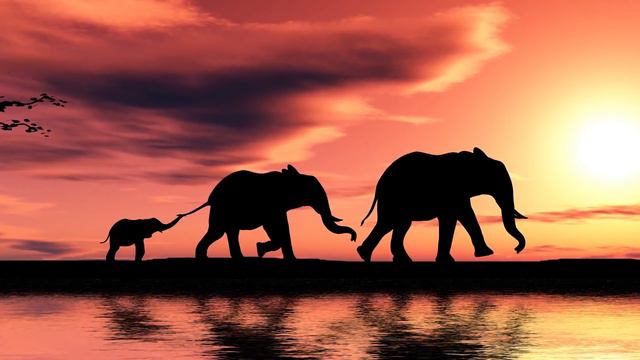Peaceful Music, Instrumental Music, Flute Music "Beautiful World India" by Tim Janis смотреть онлайн