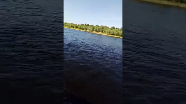 17 июля 2019 г. смотреть онлайн