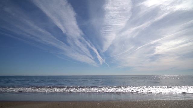 Совместимость Близнецов со всеми знаками Зодиака