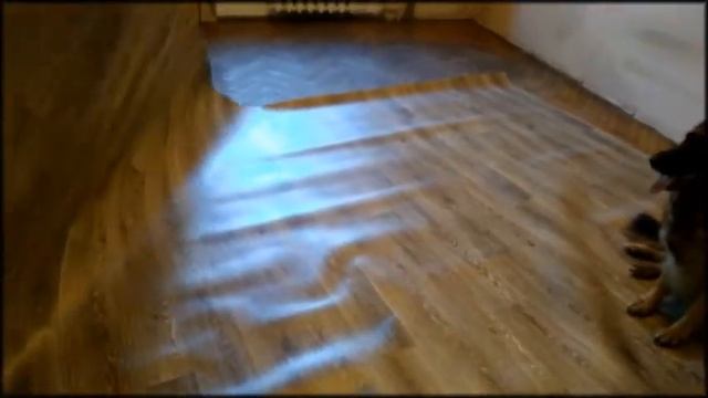 9 05 2021 Бекки, Вега и линолеум смотреть онлайн