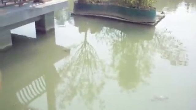 21 CHINA 2019 21 смотреть онлайн